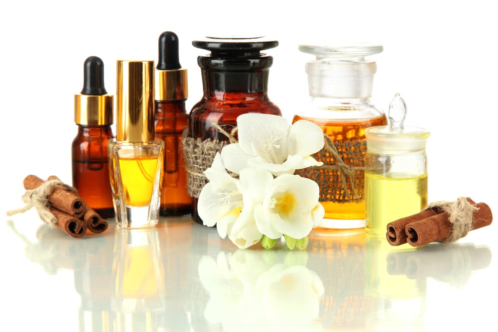 Are you up to date on your poison prevention for dogs? Here are the top ten toxins for dogs | Dog Training In Your Home Columbia